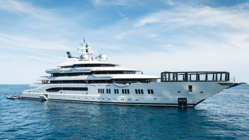 Amadea