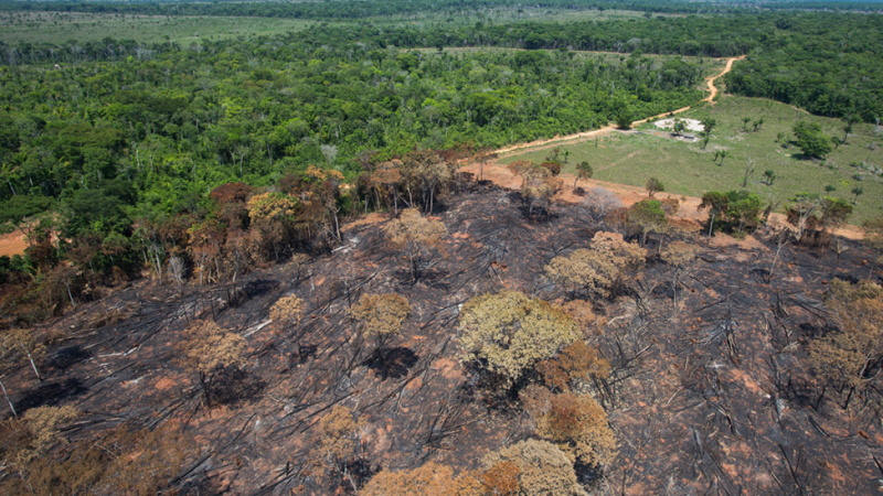 cerrado
